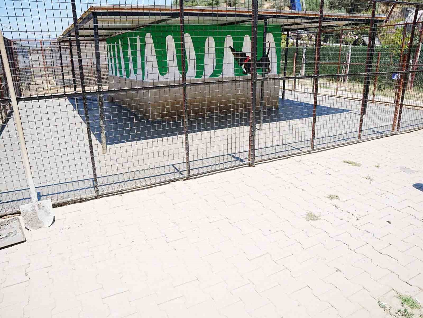 Başkan Zencirci’den Sokak Hayvanları Rehabilitasyon Merkezi’ne inceleme