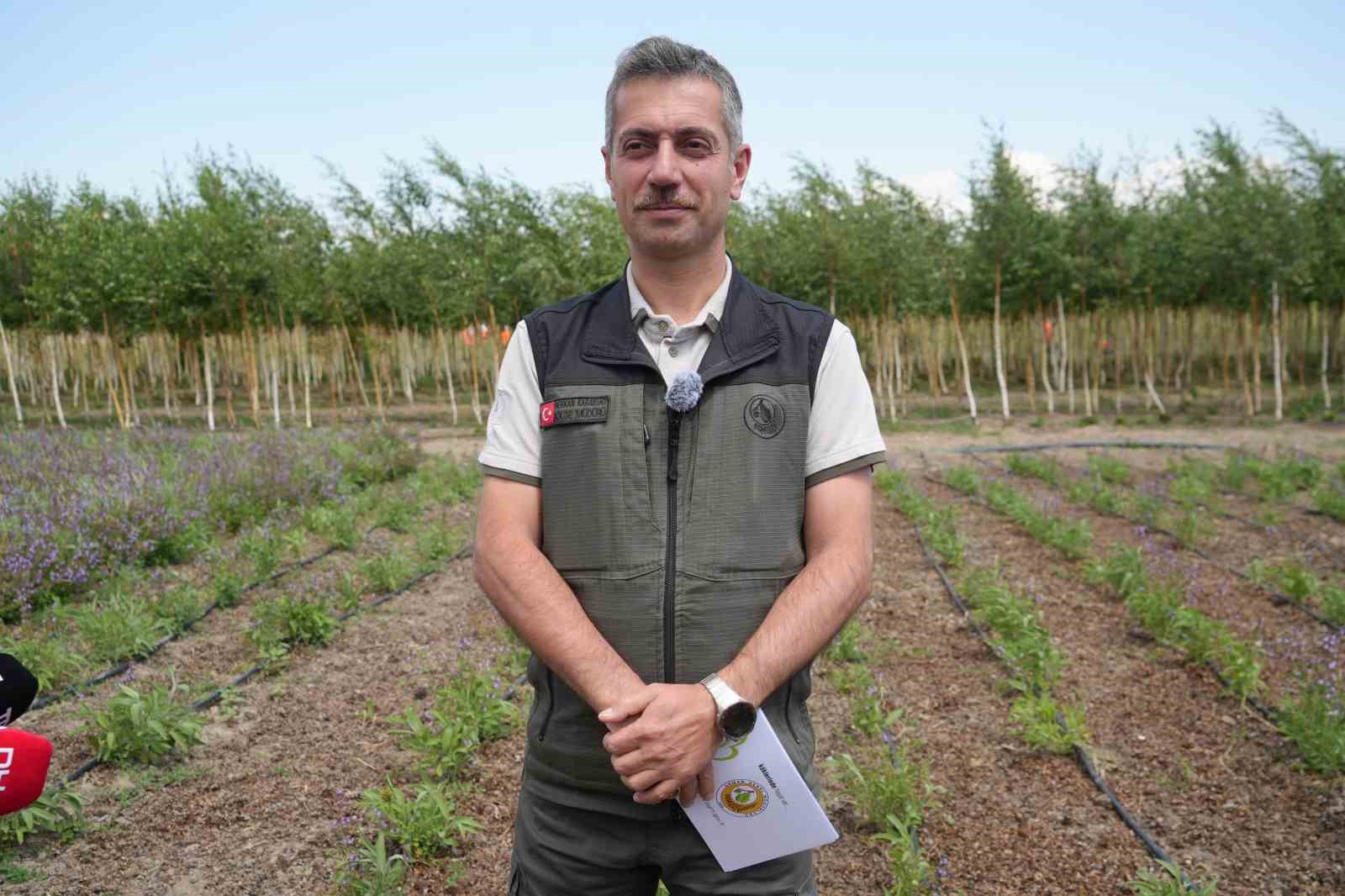 Erzurum’da toprağın altı da üstü de hazine: Şifa Bahçeleri kapılarını açıyor, yapay trüf ormanı tesis edildi