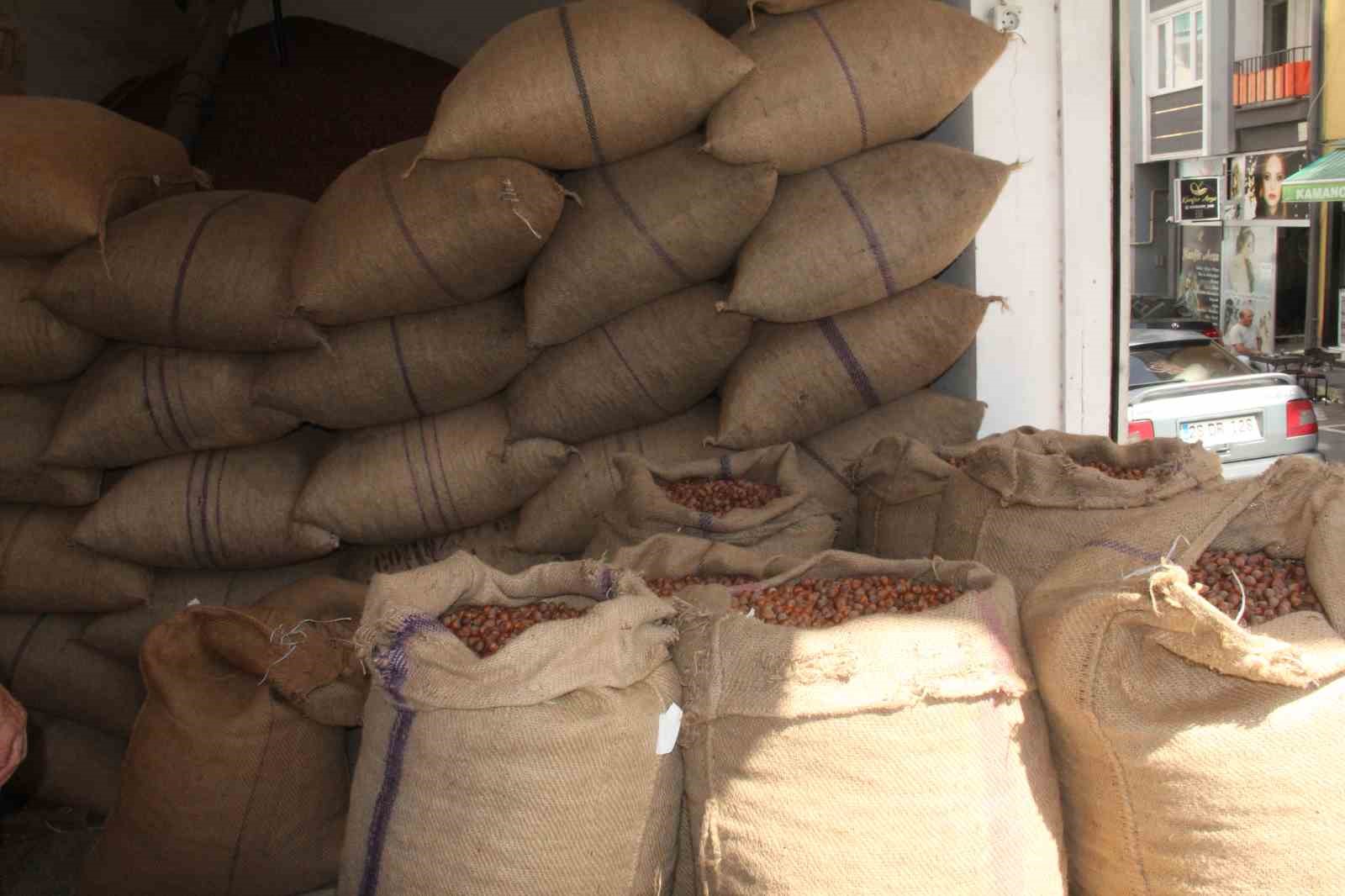 Fındıkta yeni hasat sezonu öncesi fiyatlar geriledi, gözler alım fiyatında