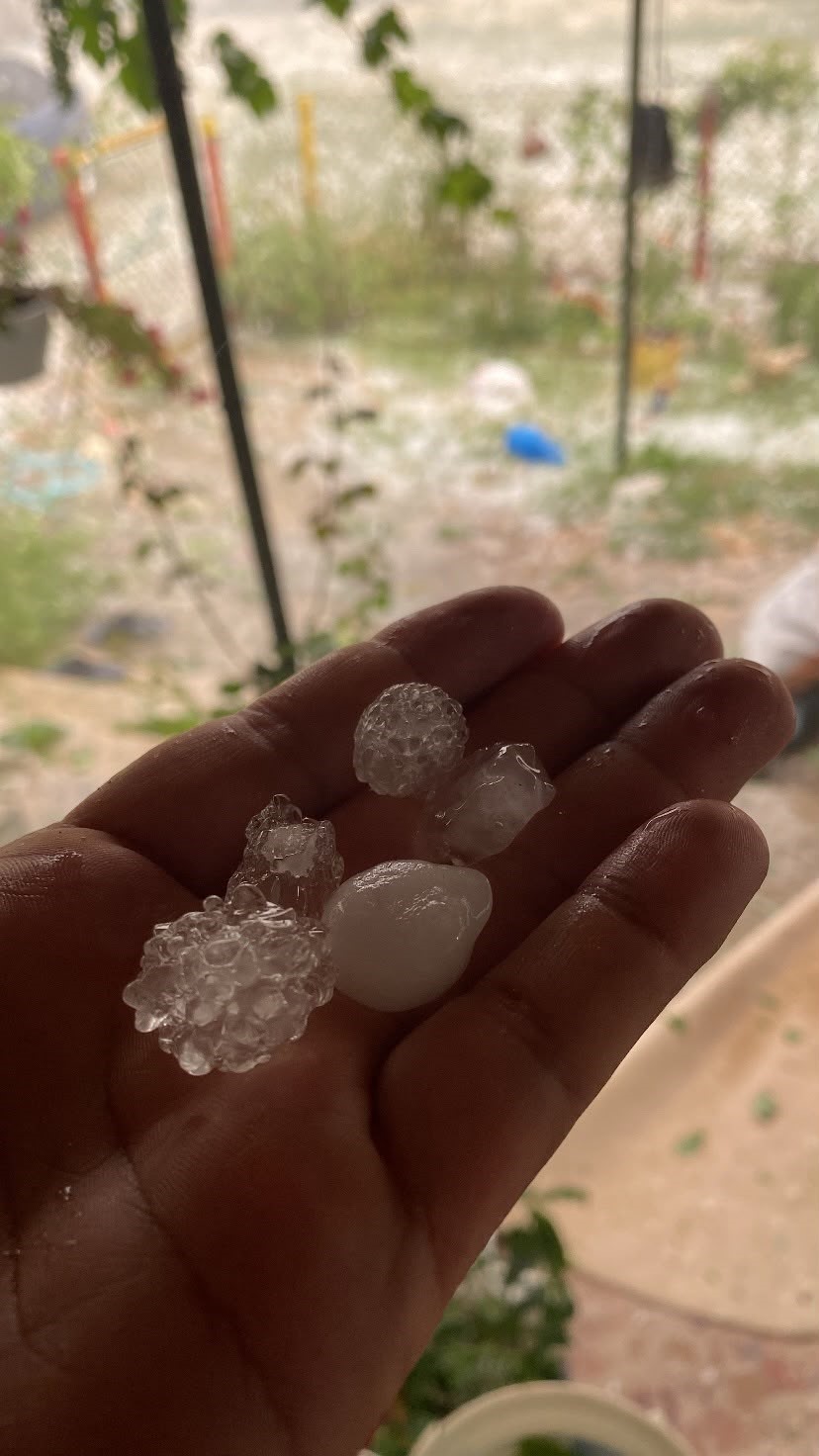 Tekirdağ’da dolu ayçiçeği ve karpuz tarlalarını vurdu