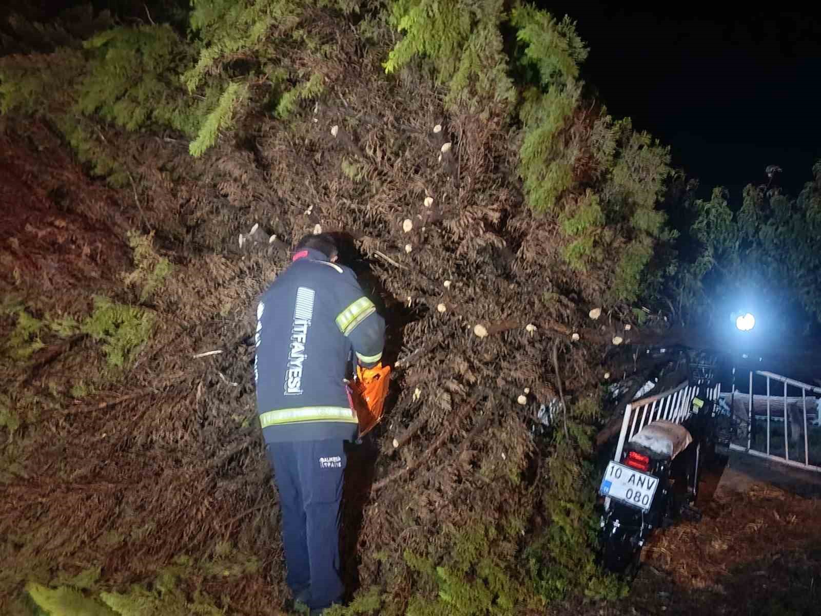 Erdek’te fırtına ve dolu yağışı: Ağaçlar devrildi, çatılar uçtu