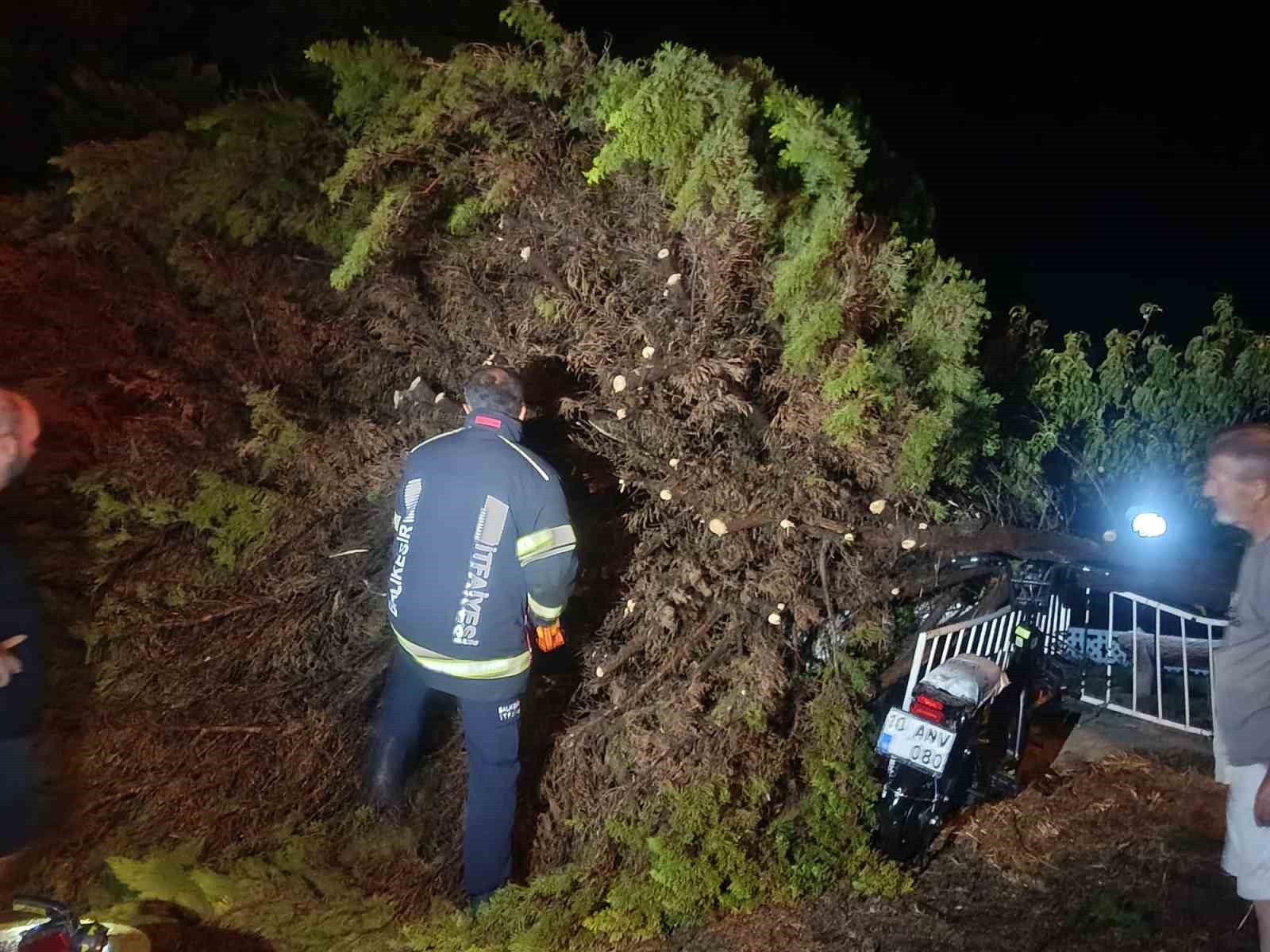 Erdek’te fırtına ve dolu yağışı: Ağaçlar devrildi, çatılar uçtu
