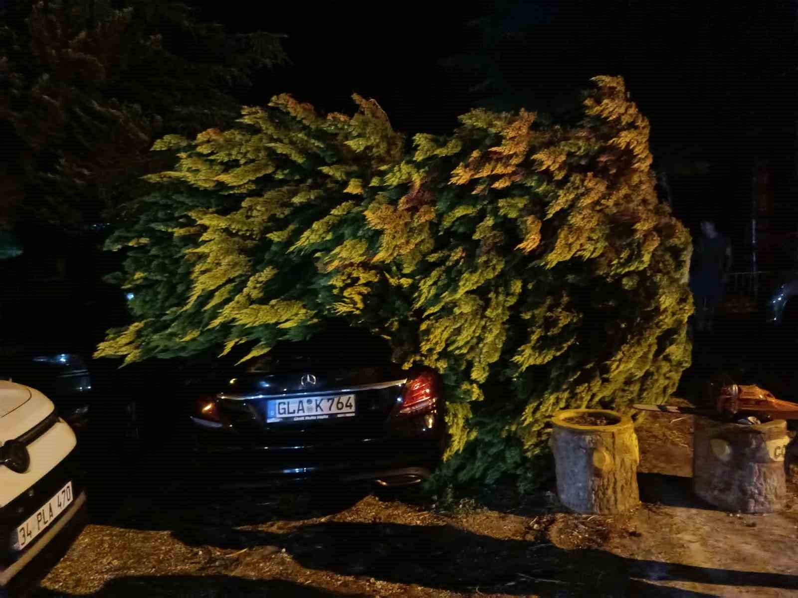 Erdek’te fırtına ve dolu yağışı: Ağaçlar devrildi, çatılar uçtu