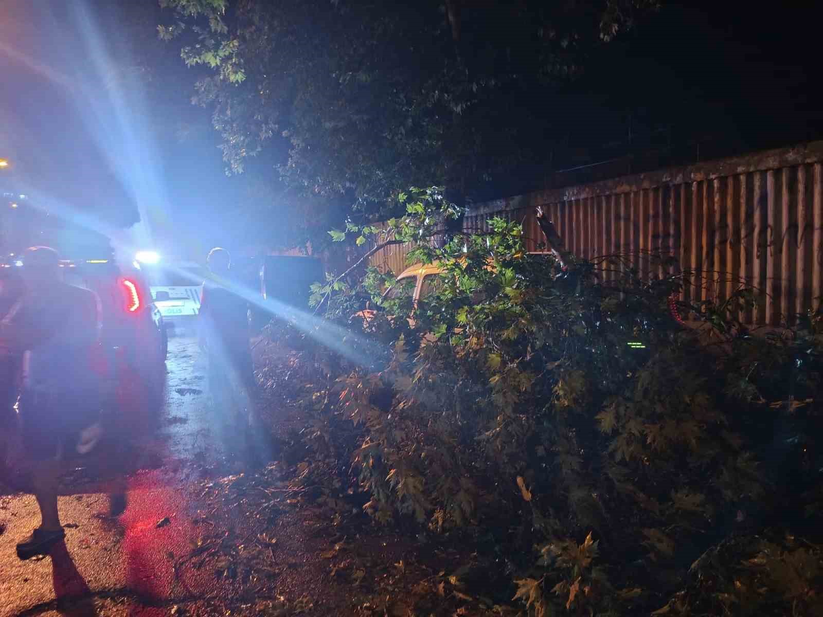 Erdek’te fırtına ve dolu yağışı: Ağaçlar devrildi, çatılar uçtu