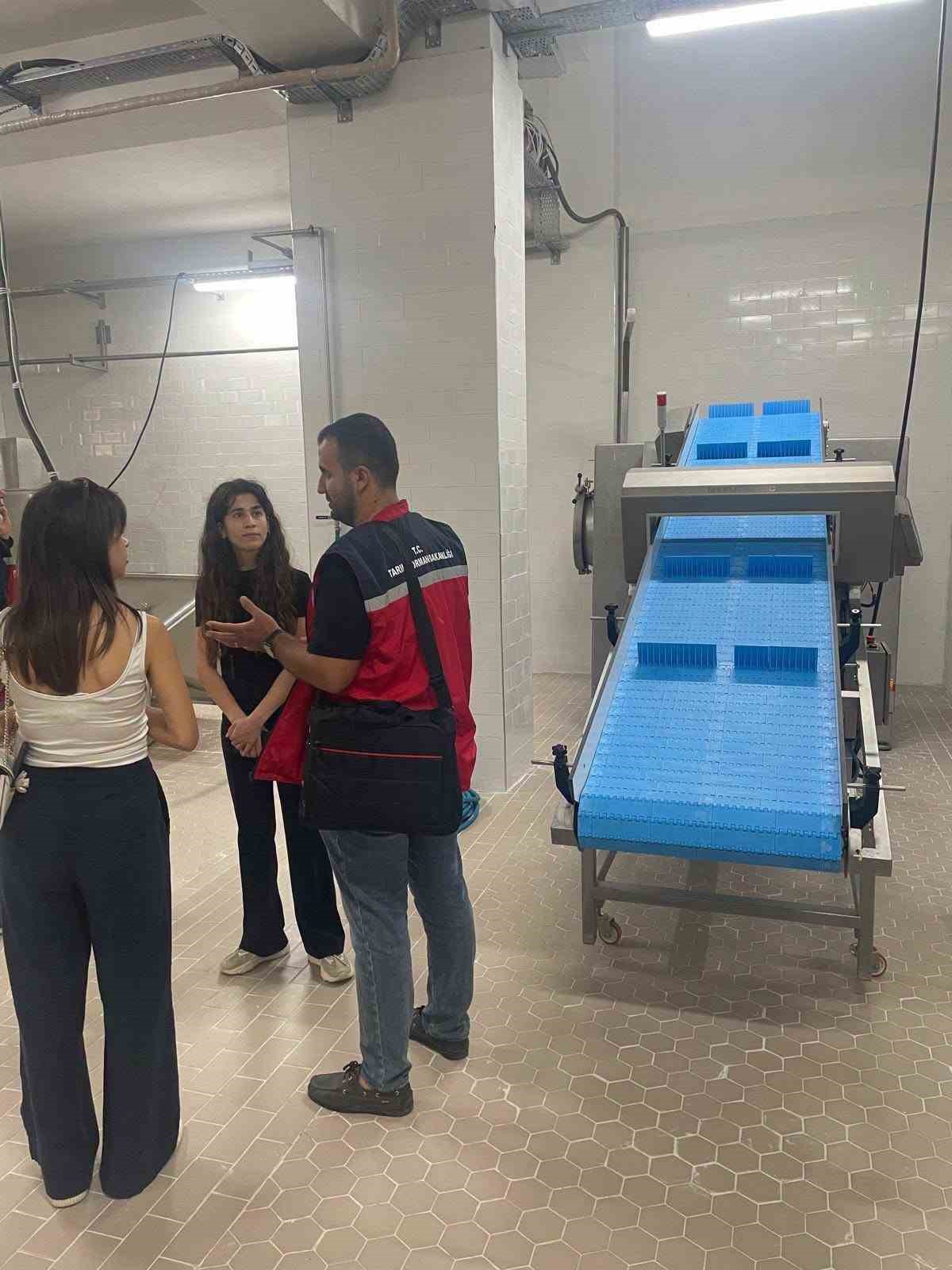 Hatay’da evcil hayvan yaş mama üretim tesisinde denetim gerçekleştirildi