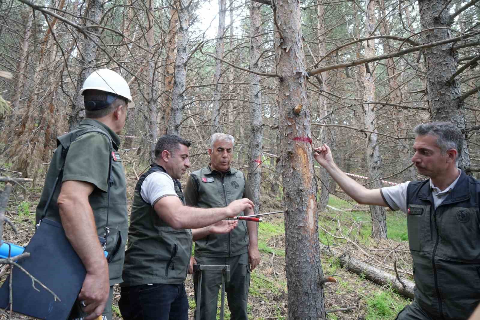 Erzurum’un akciğerlerine planlı dokunuş