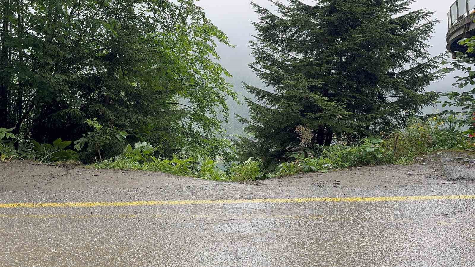 Uzungöl’de seyir terasından araç uçtu: 2 Arap turist yaralı