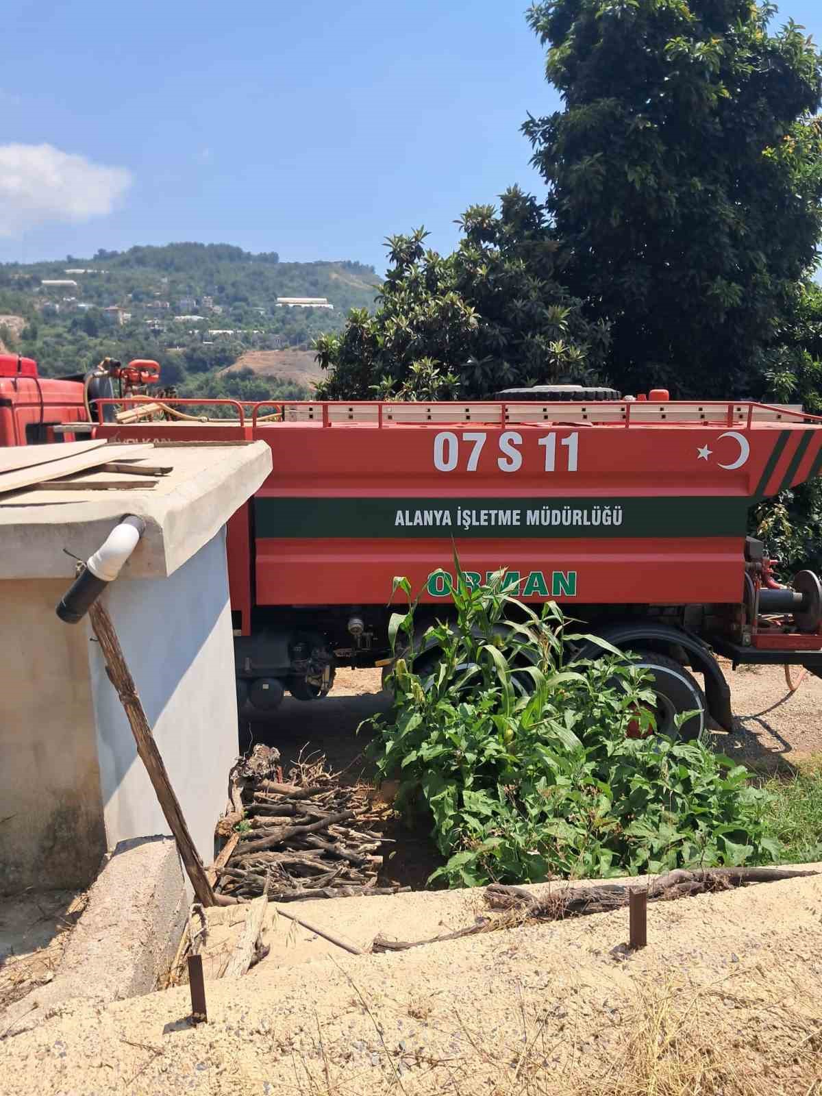 Alanya’da avokado bahçelerinin bulunduğu zirai alanda yangın