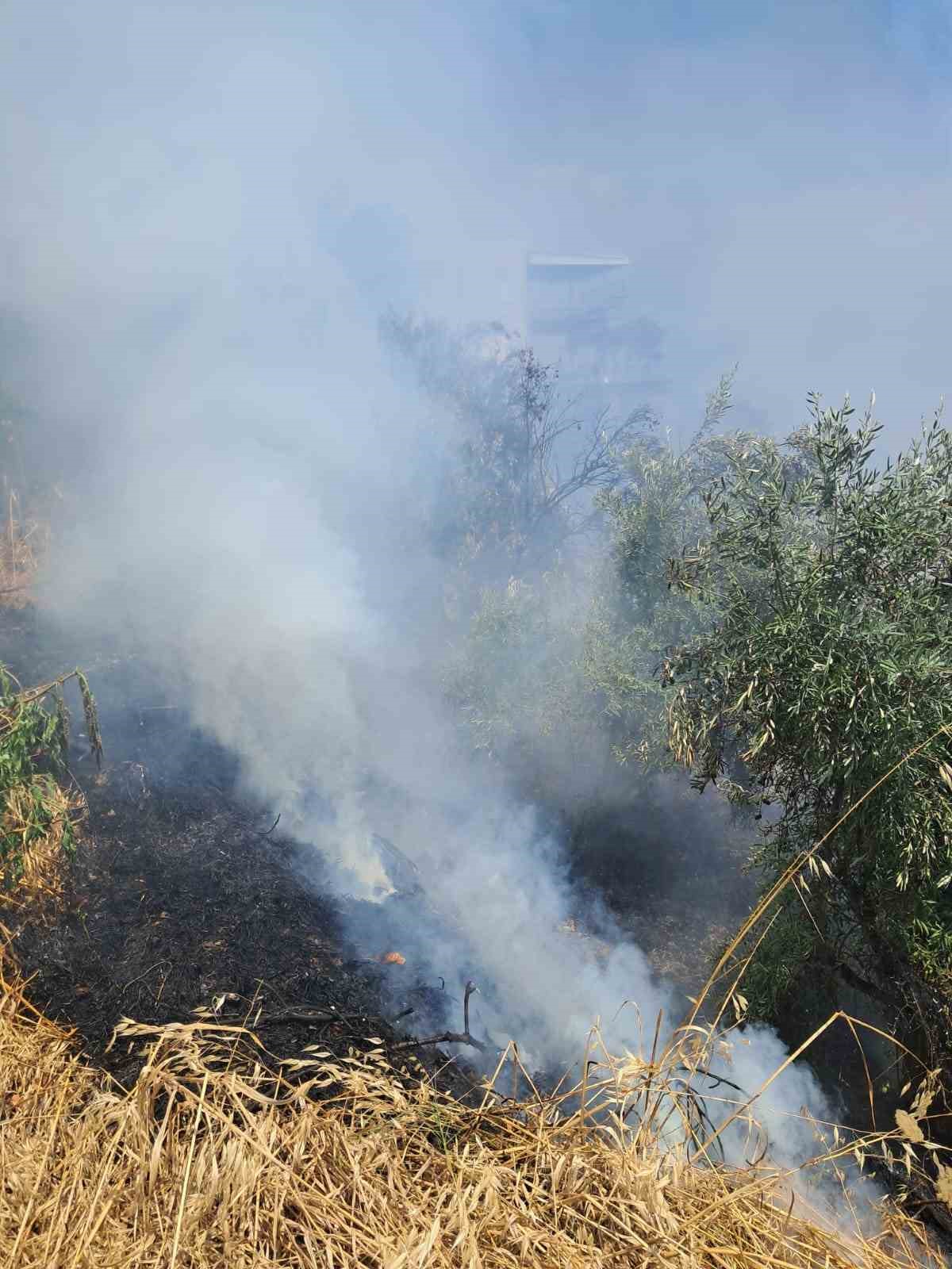 Alanya’da avokado bahçelerinin bulunduğu zirai alanda yangın