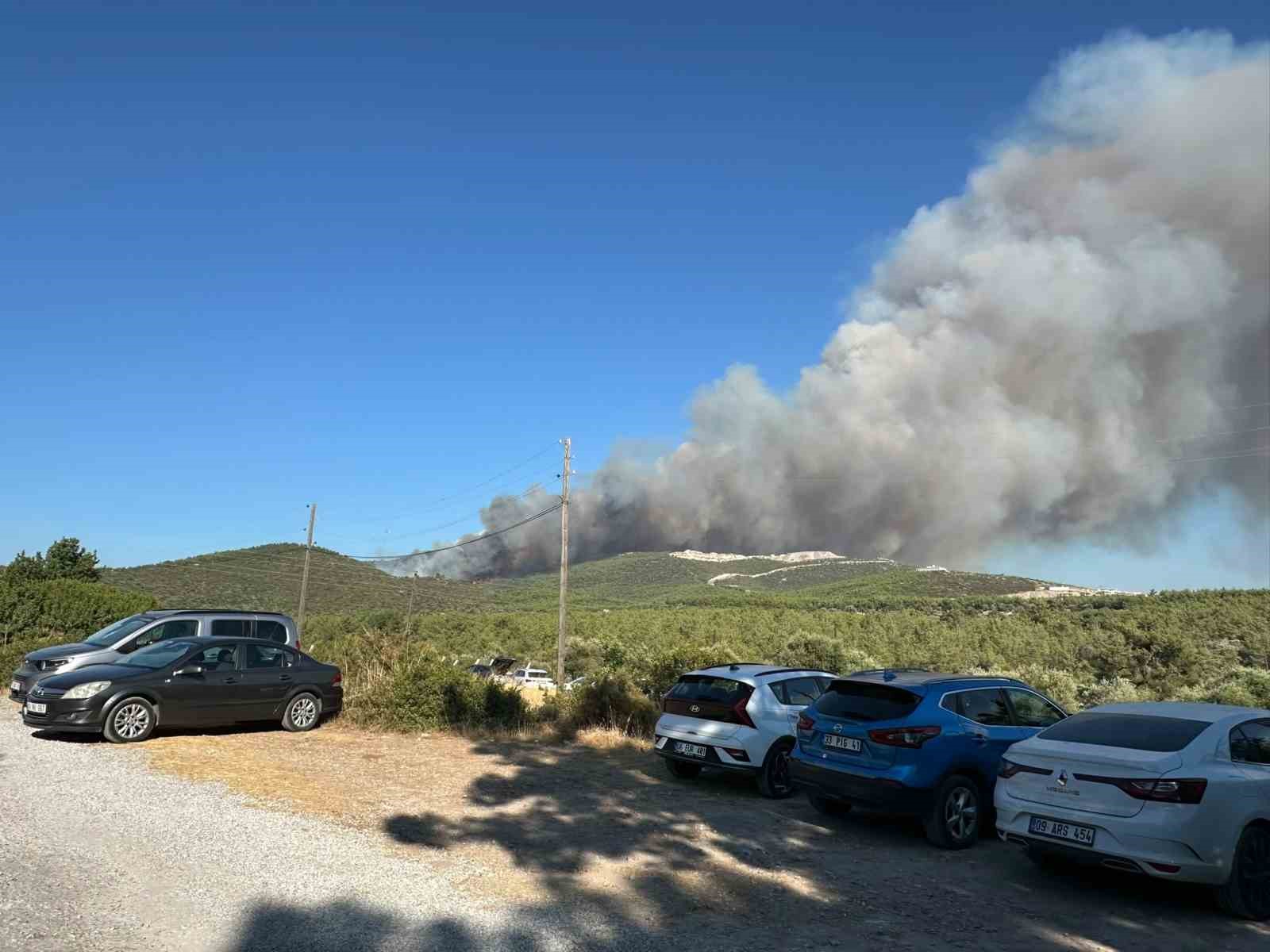 Milas’ta orman yangını