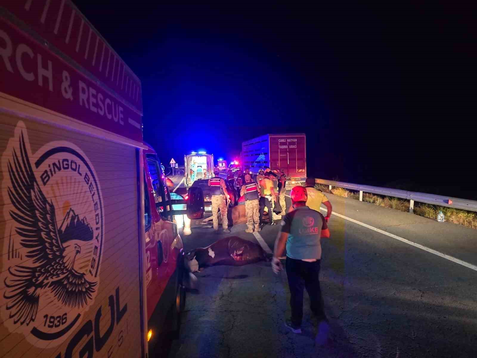 Otomobil ineklere çarptı: 2 yaralı