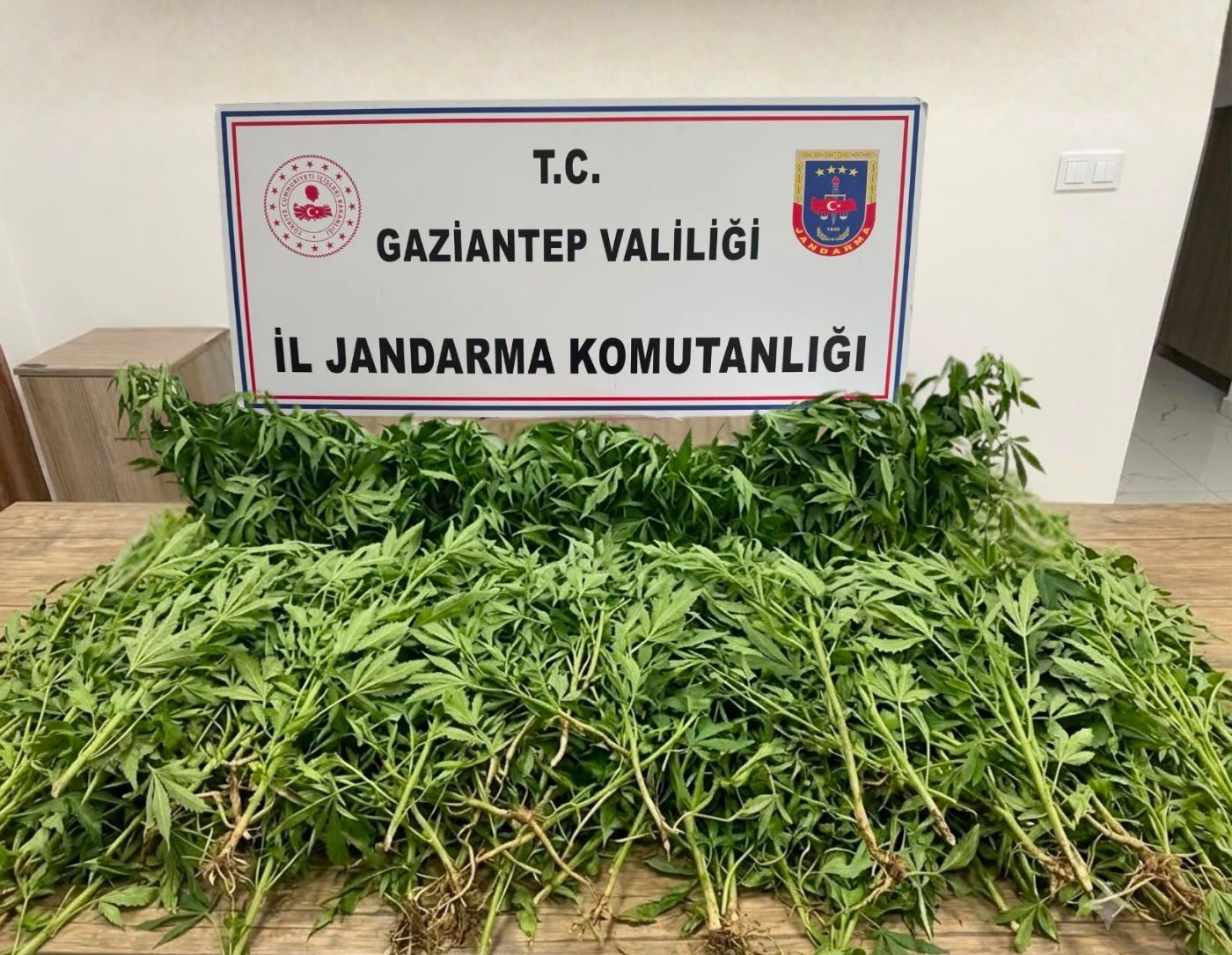 Gaziantep’te uyuşturucu ve kaçakçılık şüphelisi 46 şahıs tutuklandı
