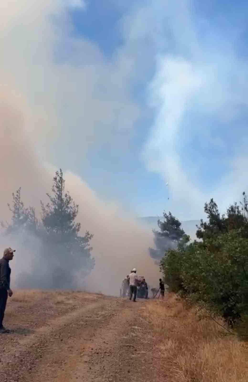 Bursa’da otluk alanda çıkan yangın ormana sıçradı
