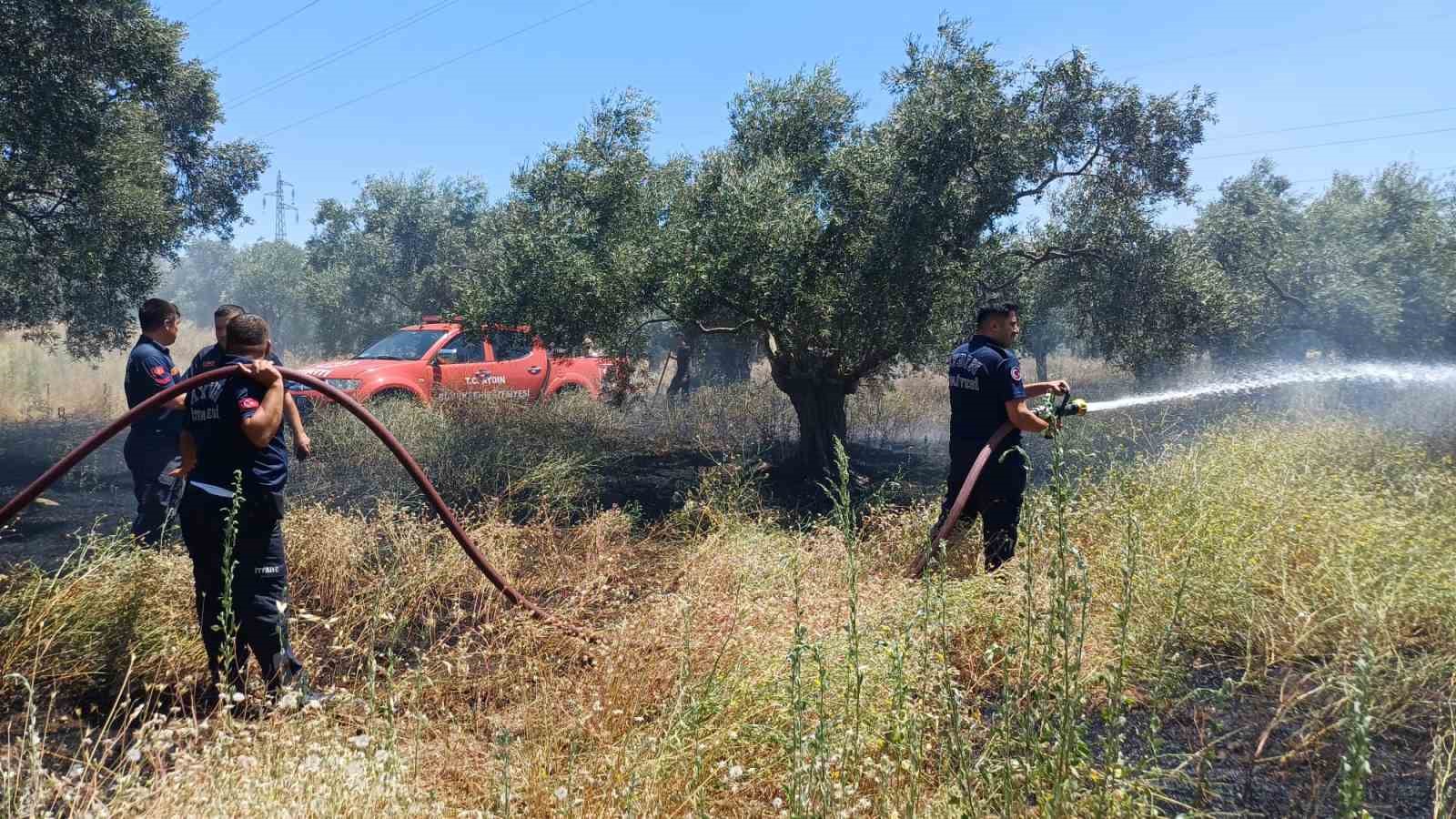 Ot biçerken zeytinliği yaktı