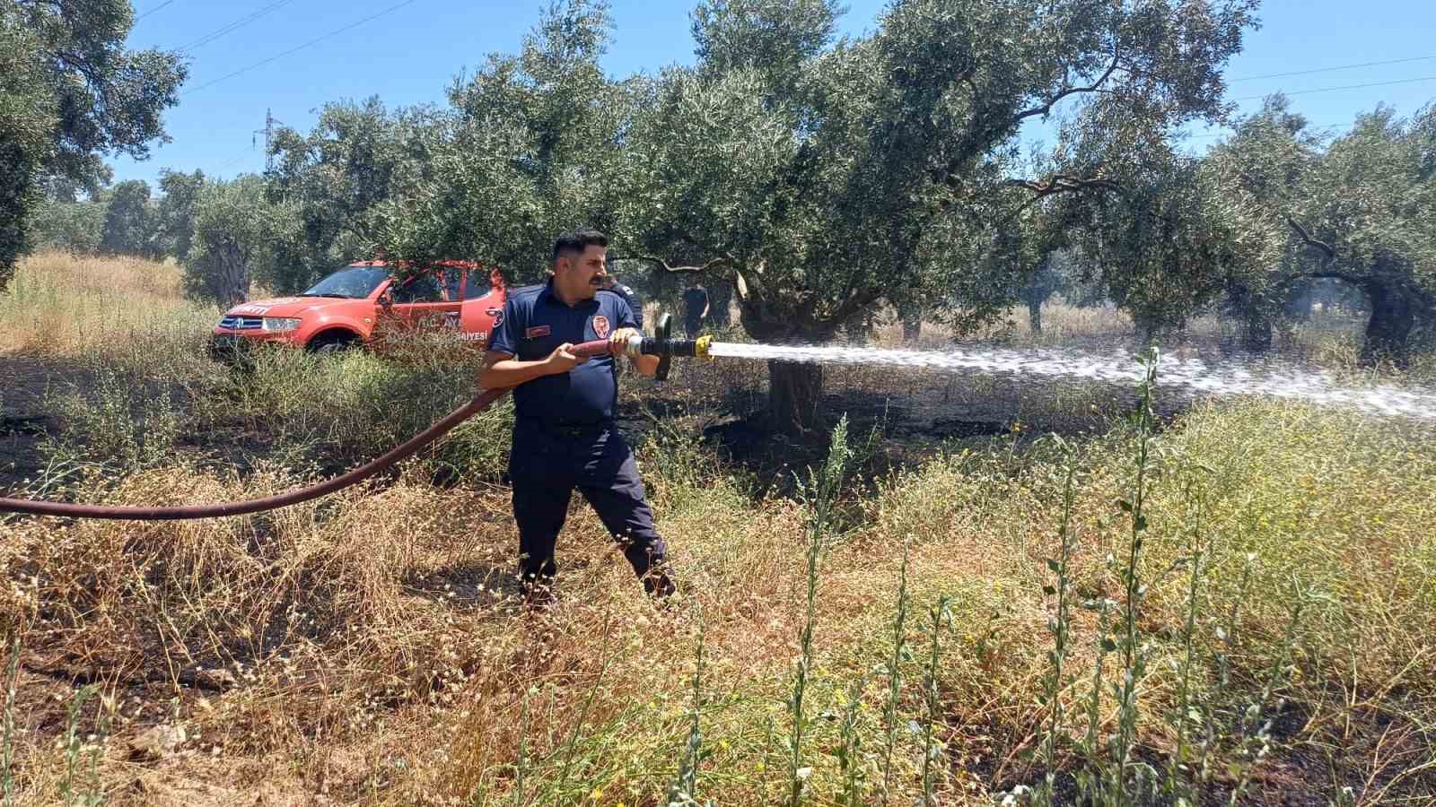 Ot biçerken zeytinliği yaktı