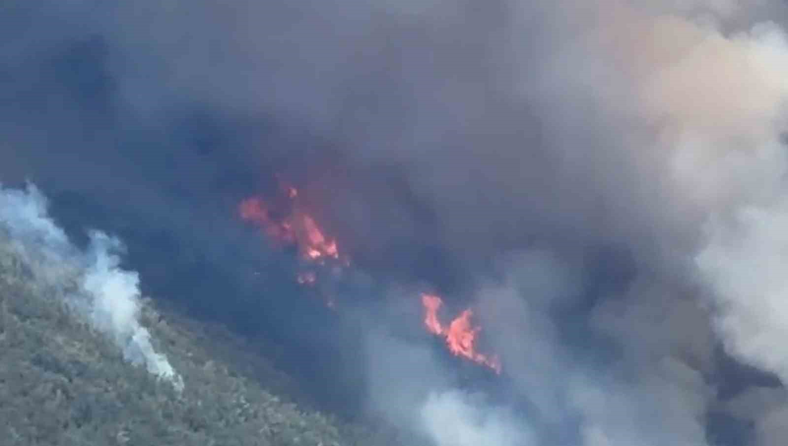 Manisa’da orman yangınında alevler İzmir-İstanbul Otoyolu’na ulaştı