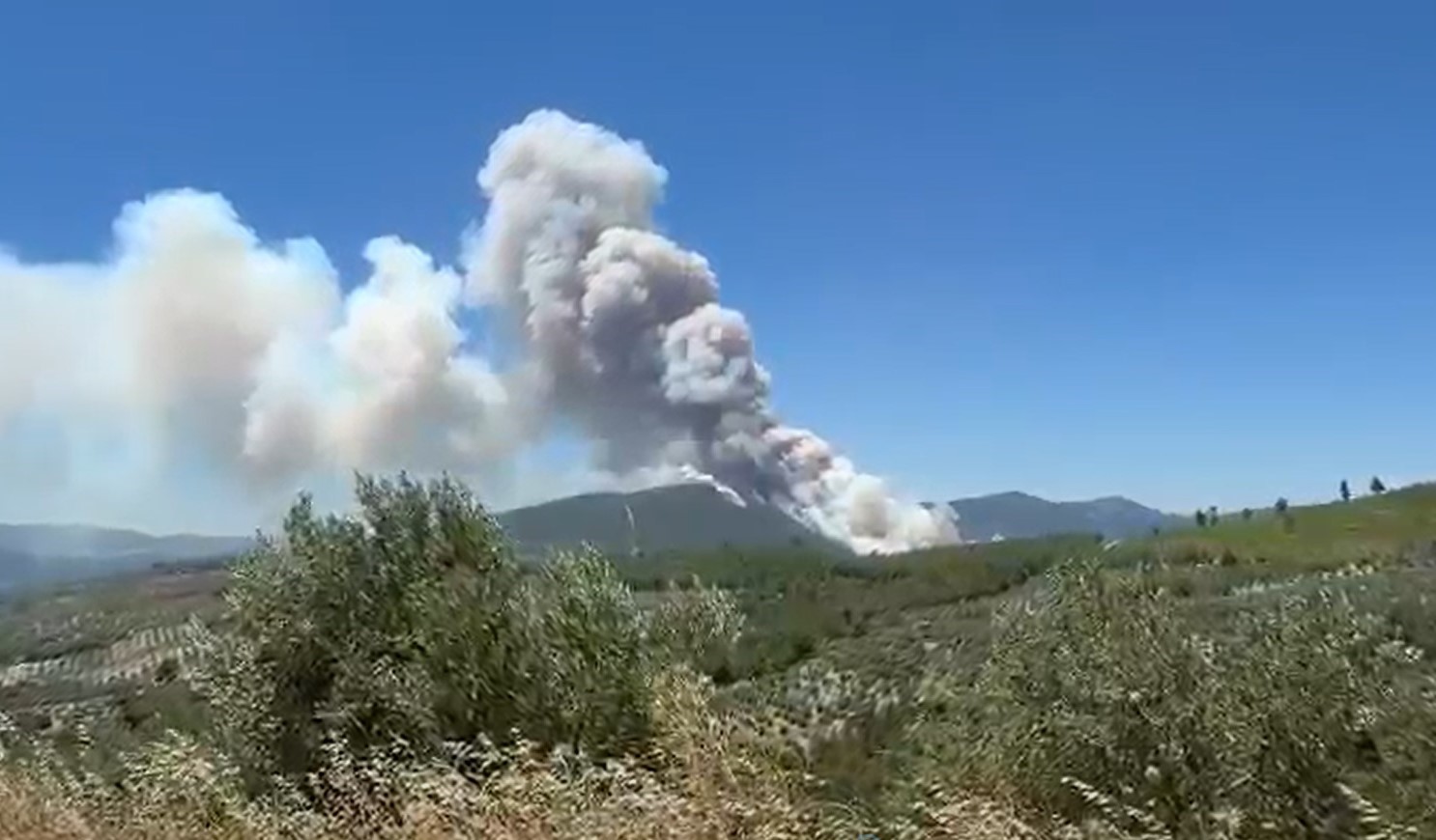 Manisa’da orman yangınında alevler İzmir-İstanbul Otoyolu’na ulaştı