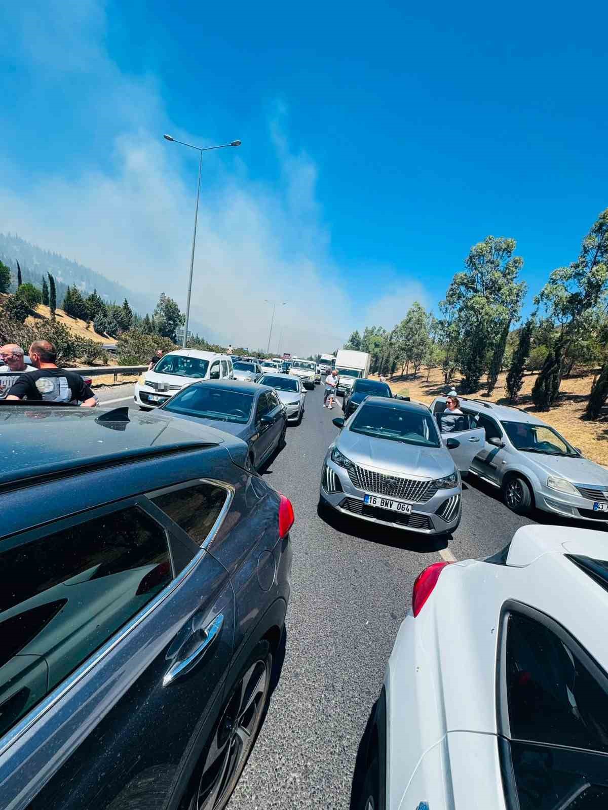 Manisa’da orman yangınında alevler İzmir-İstanbul Otoyolu’na ulaştı