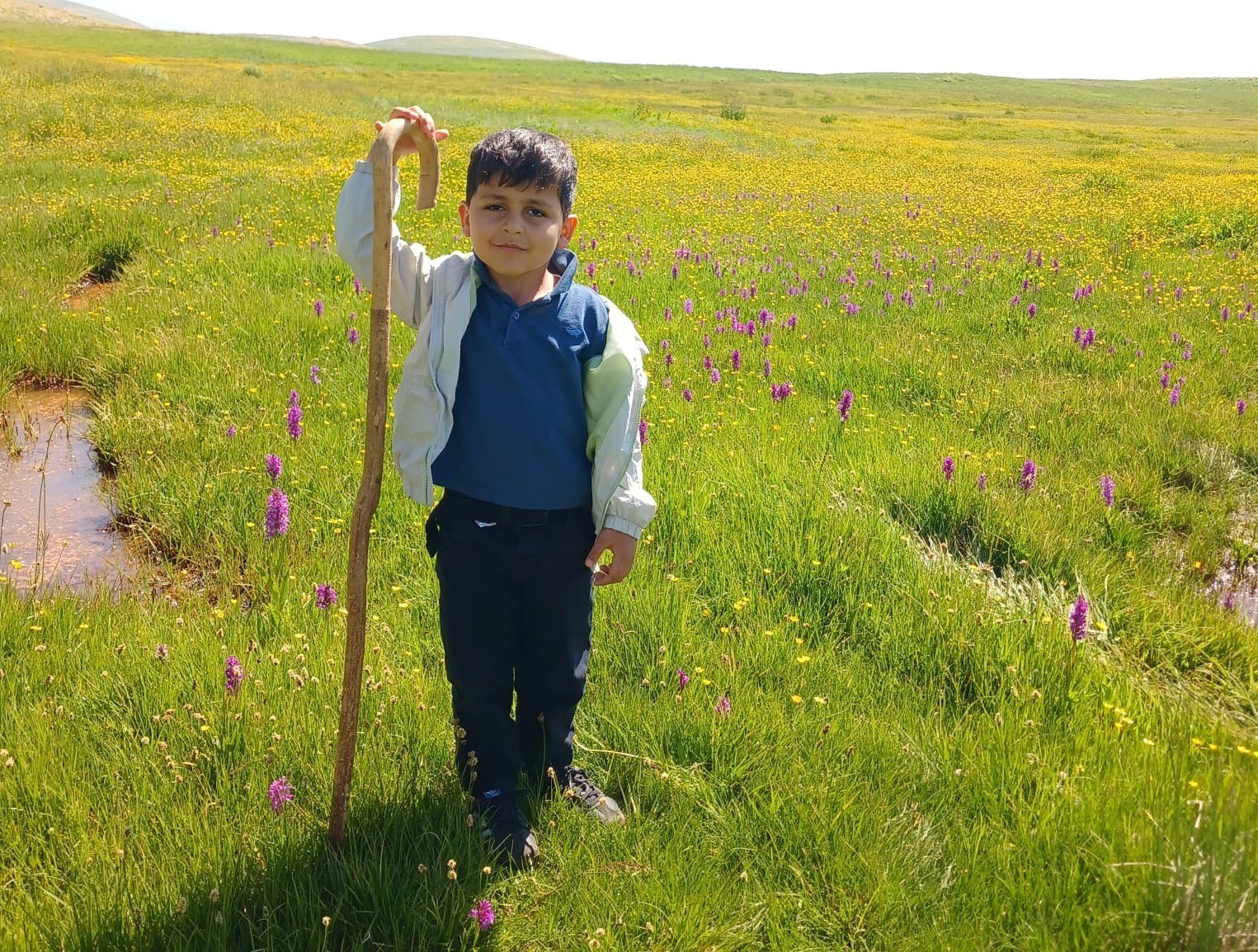 Hakkari’nin zirveleri çiçeklerle renklendi