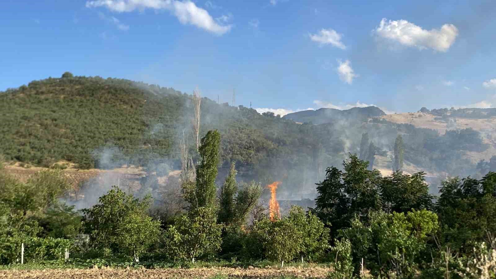 Çorum’da orman yangını