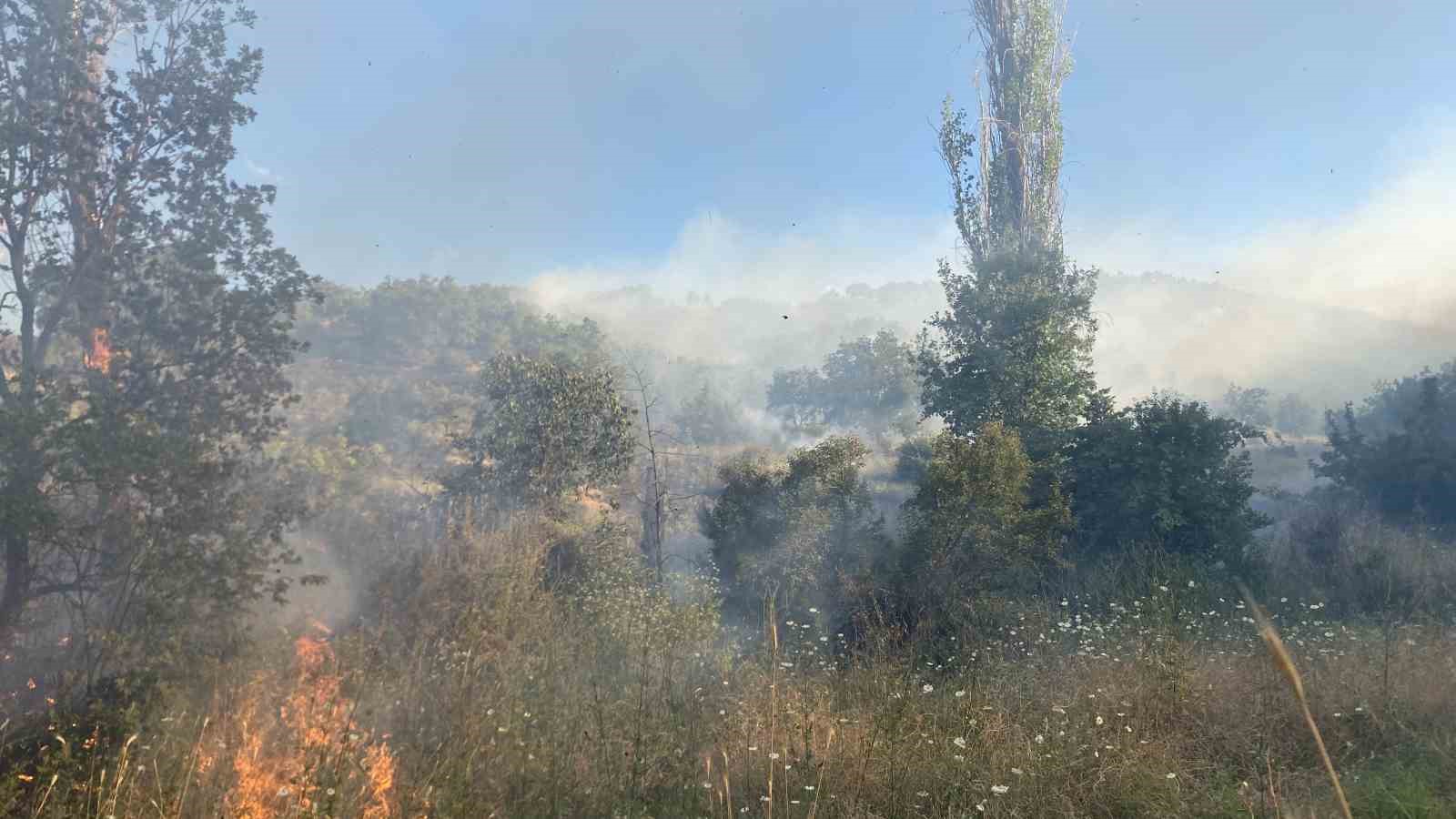 Çorum’da orman yangını