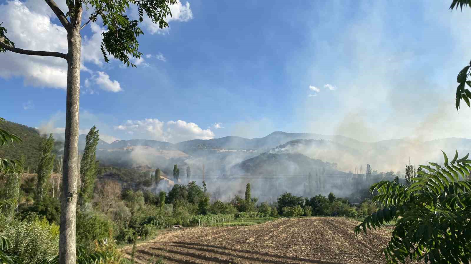 Çorum’da orman yangını