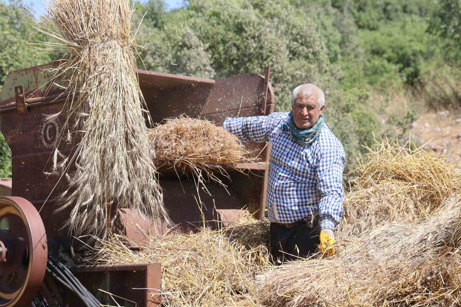 Hataylı çiftçilerin kavurucu sıcakta tozlu mesaisi sürüyor