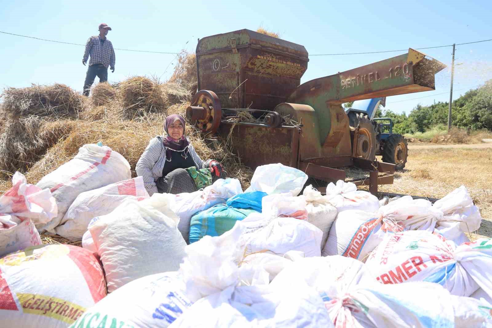 Hataylı çiftçilerin kavurucu sıcakta tozlu mesaisi sürüyor