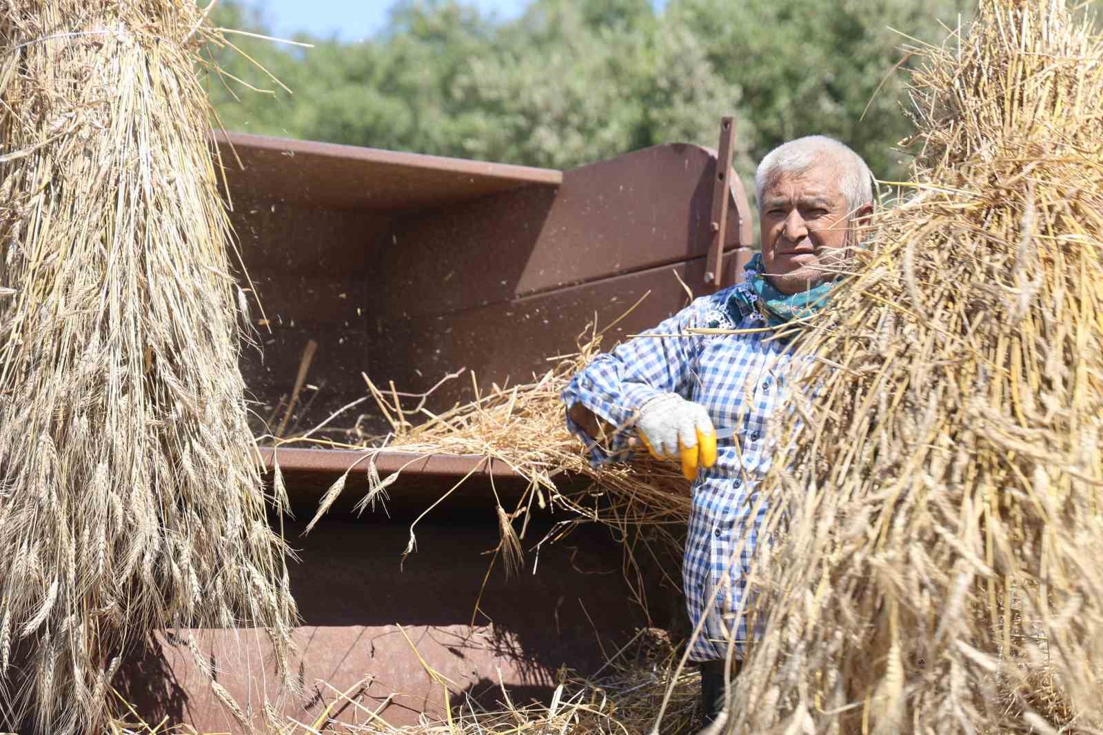 Hataylı çiftçilerin kavurucu sıcakta tozlu mesaisi sürüyor