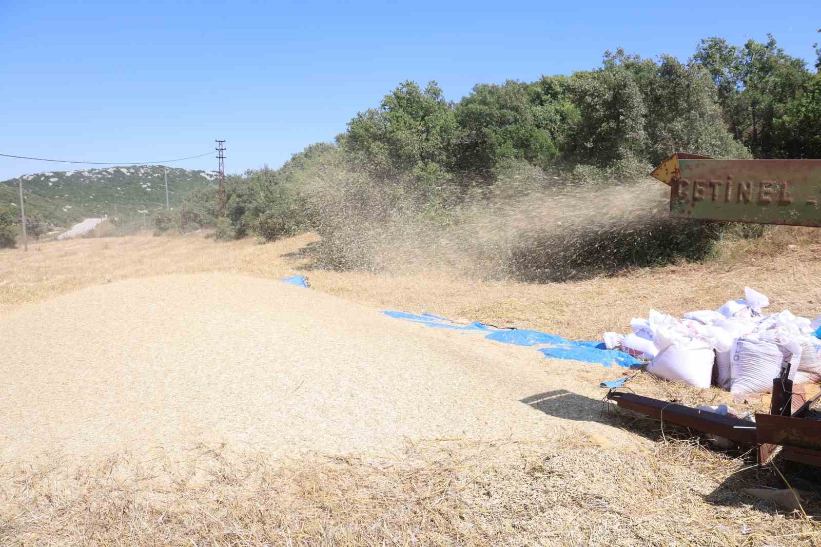 Hataylı çiftçilerin kavurucu sıcakta tozlu mesaisi sürüyor
