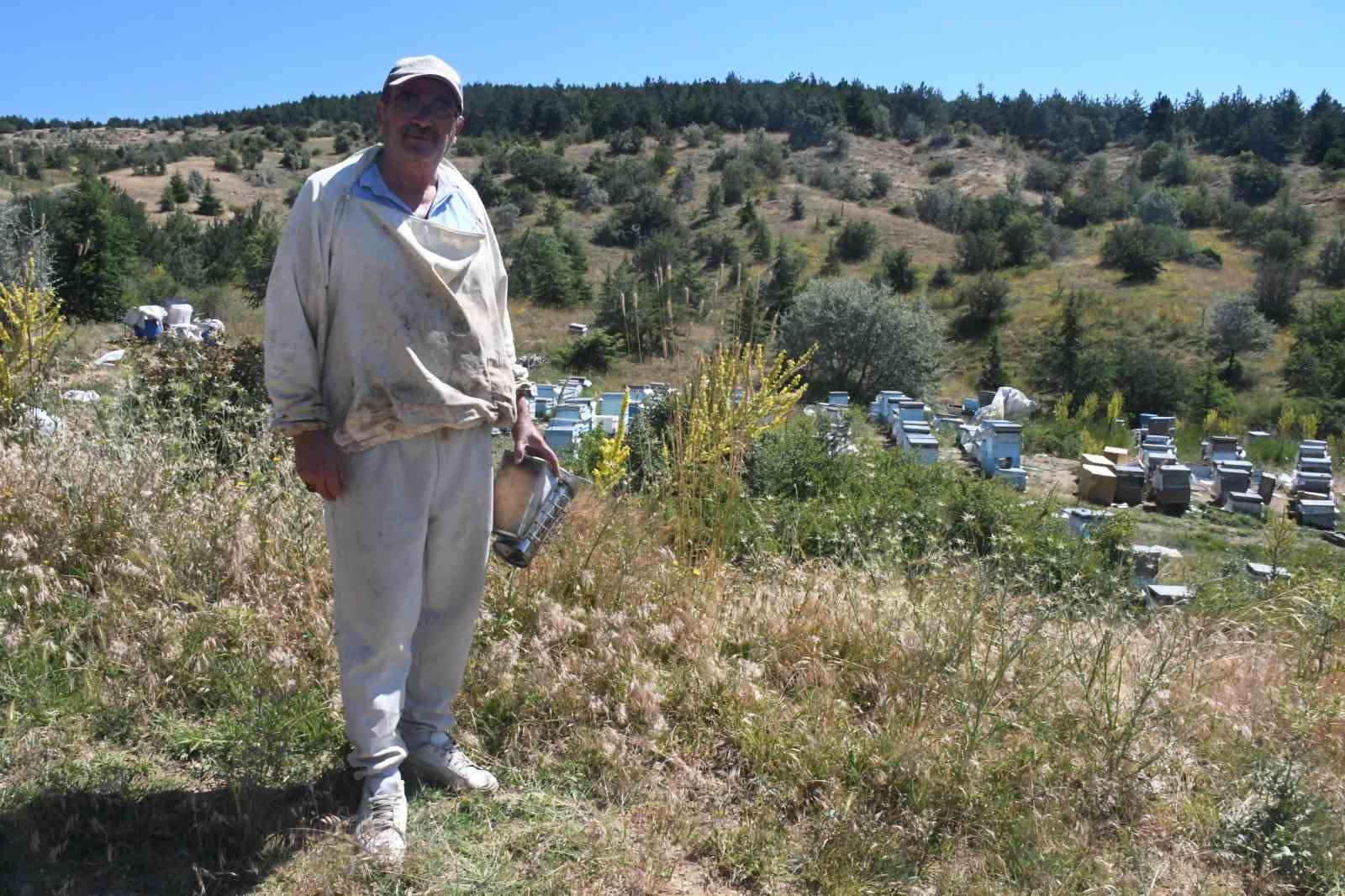 Yozgat’ın zengin bitki örtüsü arıcılara umut oldu