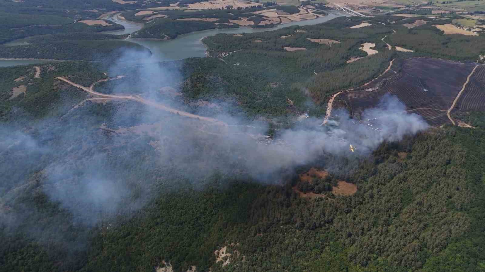Anızdan ormana sıçrayan yangın dron ile görüntülendi