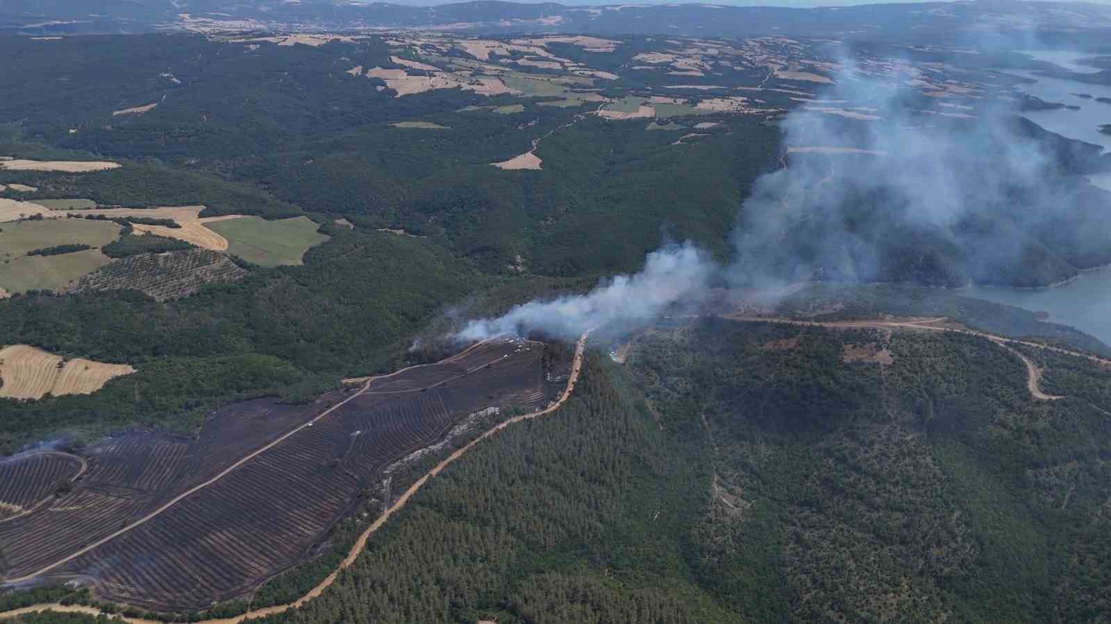 Anızdan ormana sıçrayan yangın dron ile görüntülendi