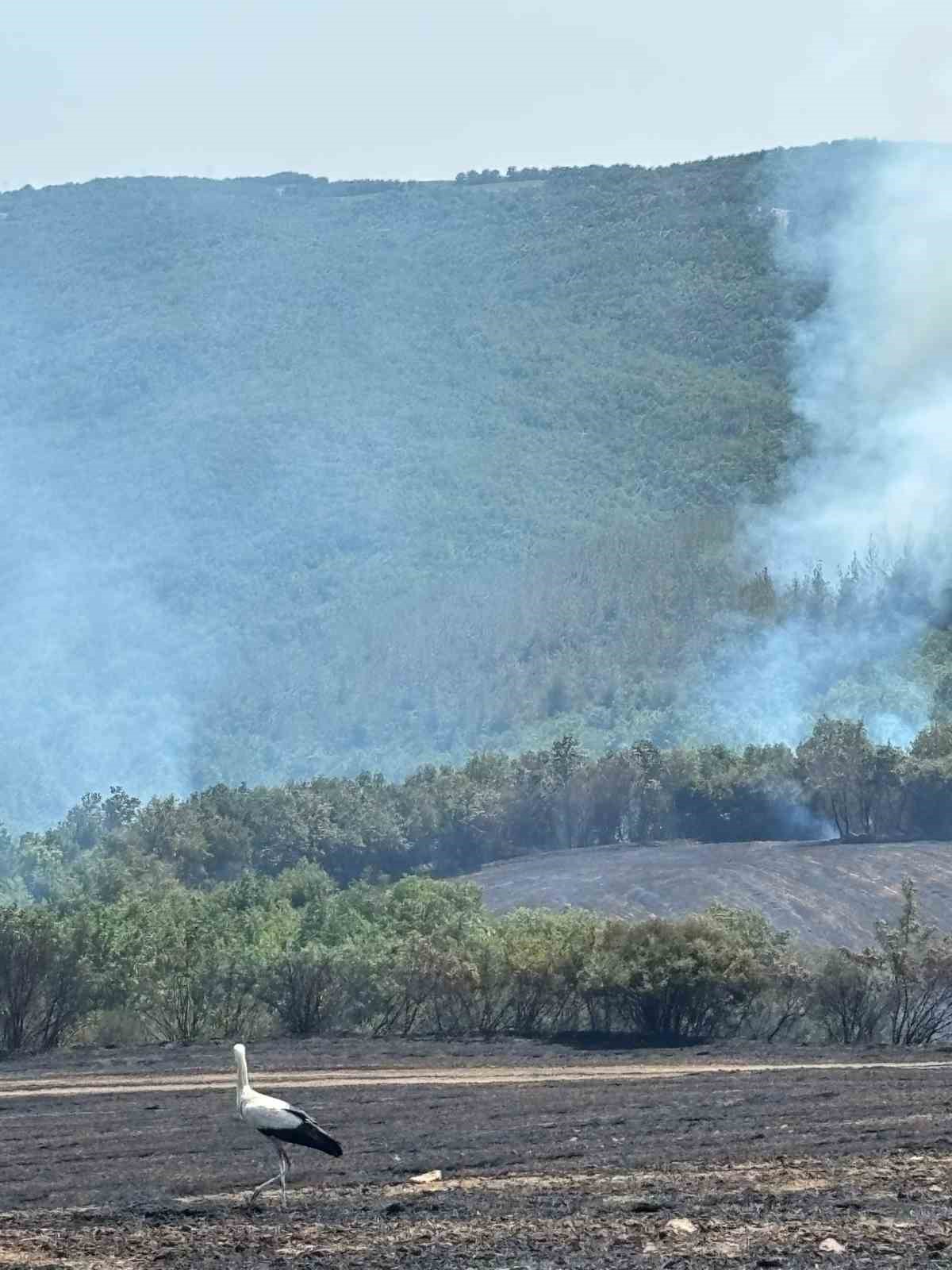 Anızdan ormana sıçrayan yangın dron ile görüntülendi