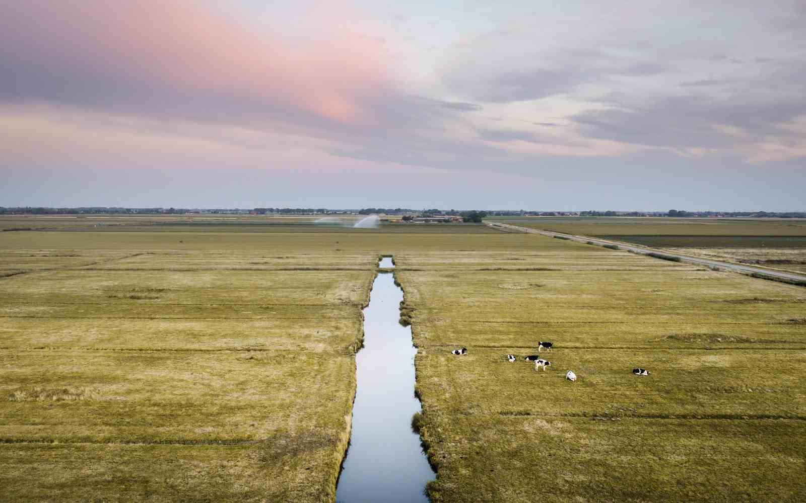 Hollanda’da "su kıtlığı" ilan edildi