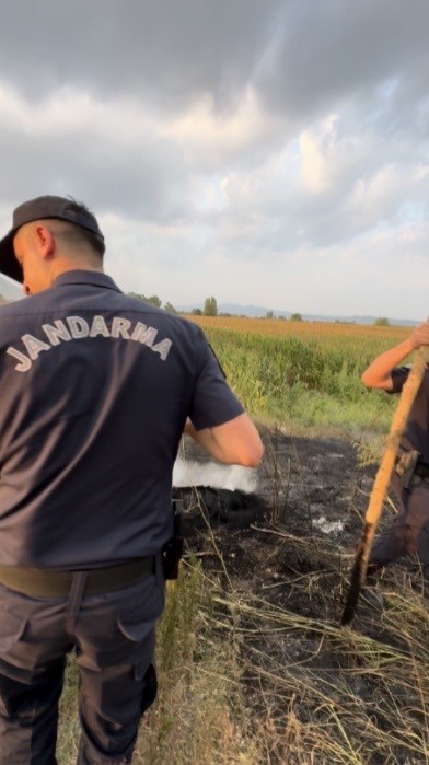 Tır lastiğinde çıkan yangın tarlaya sıçramadan söndürüldü