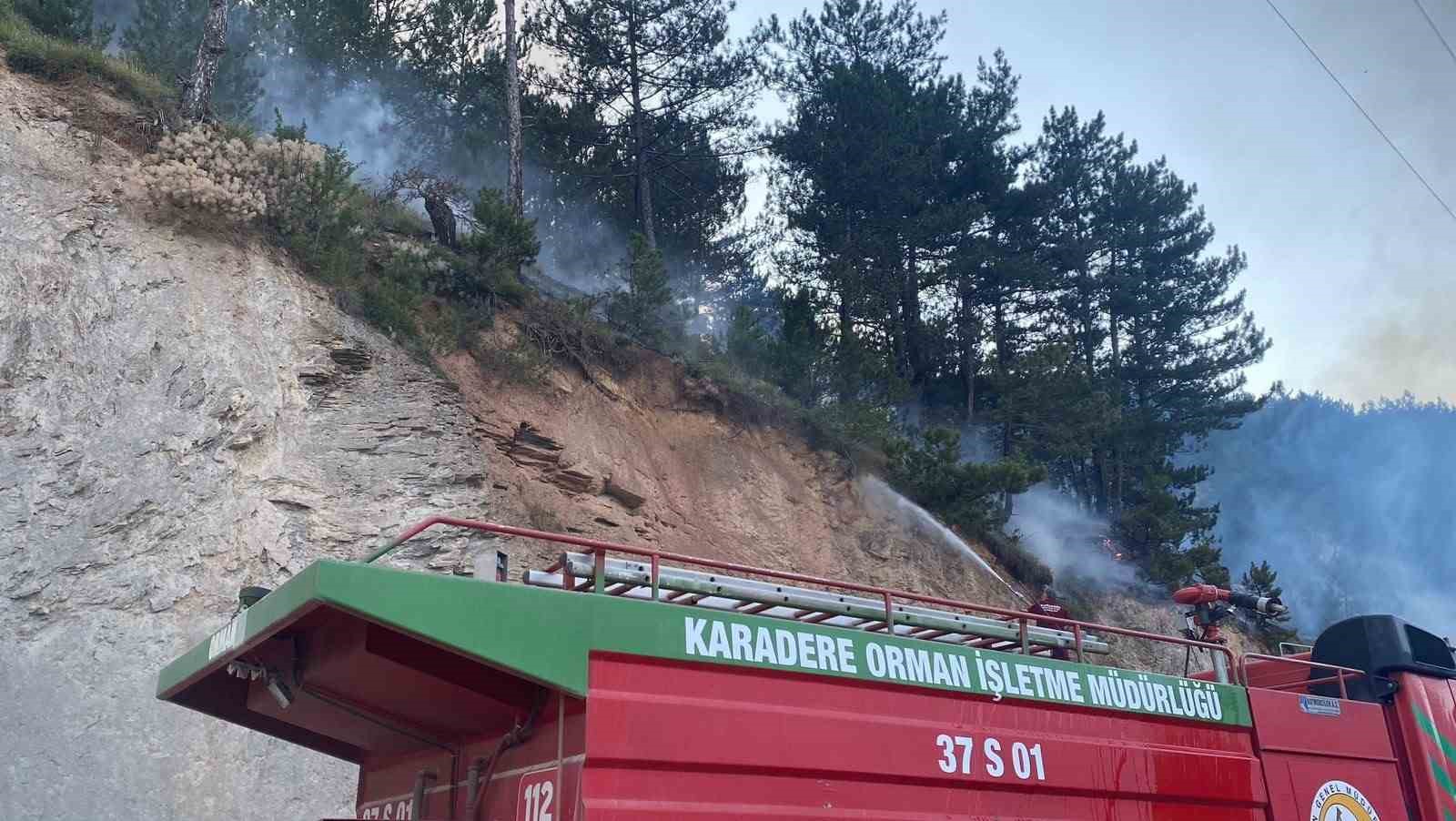 Kastamonu’da evde çıkan yangın ormana sıçradı