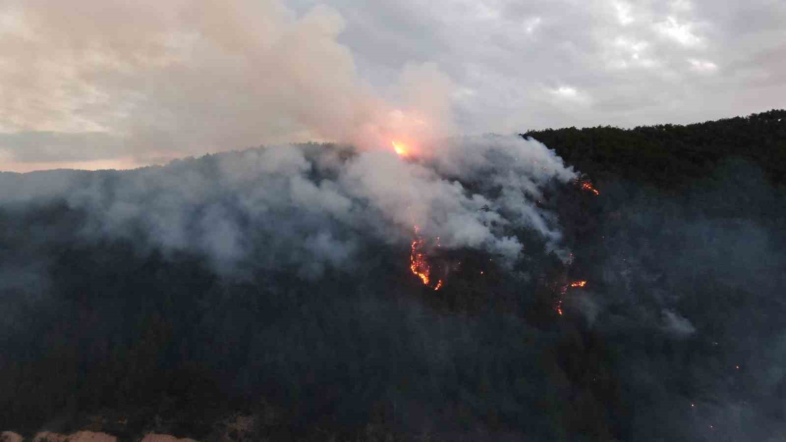 Kastamonu’daki orman yangınına müdahale sürüyor