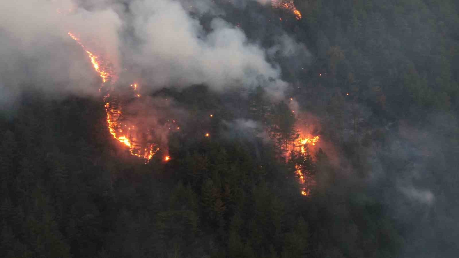 Kastamonu’daki orman yangınına müdahale sürüyor