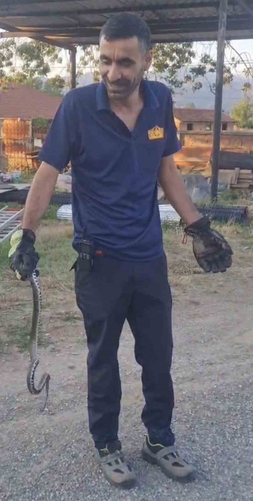 Eve giren yılanı itfaiye ekipleri çıkarttı