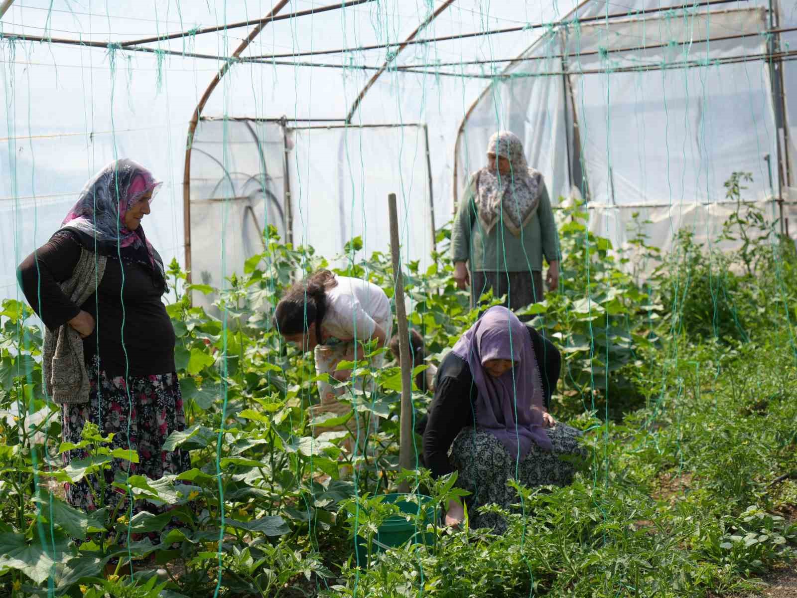 Devlet destekledi, anne ve kızı azimle başardı: 11 yıldır köydeki restoranda damakları şenlendiriyorlar