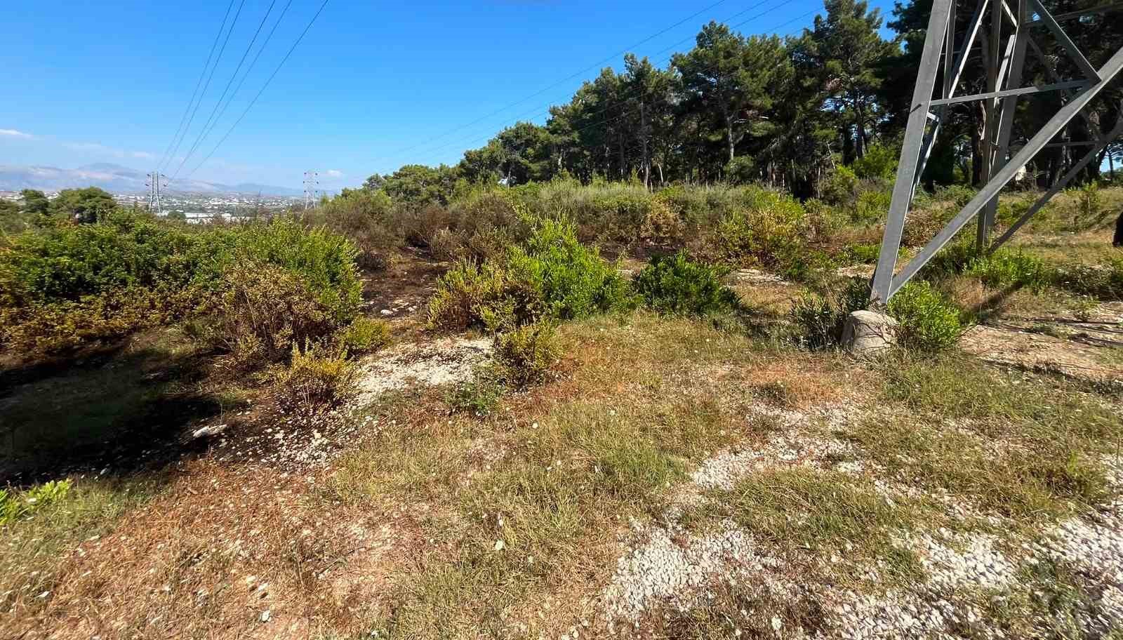 Ormanlık alanda çıkan yangın büyümeden söndürüldü