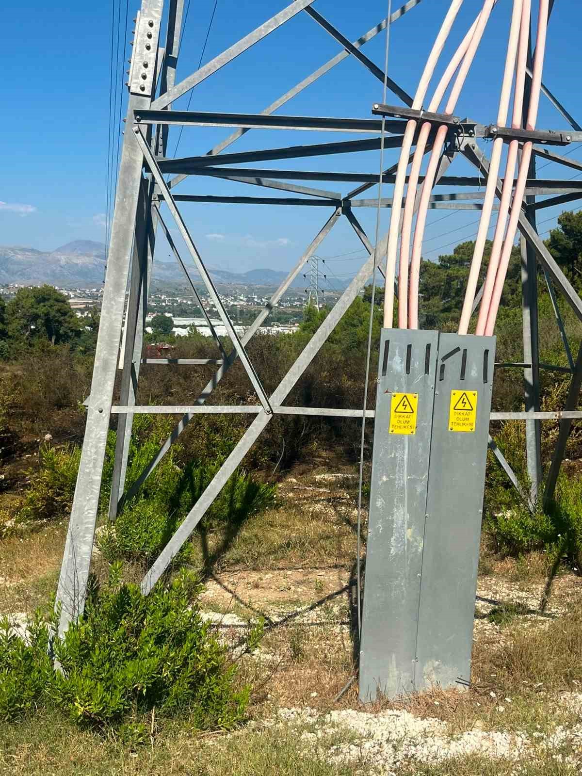 Ormanlık alanda çıkan yangın büyümeden söndürüldü