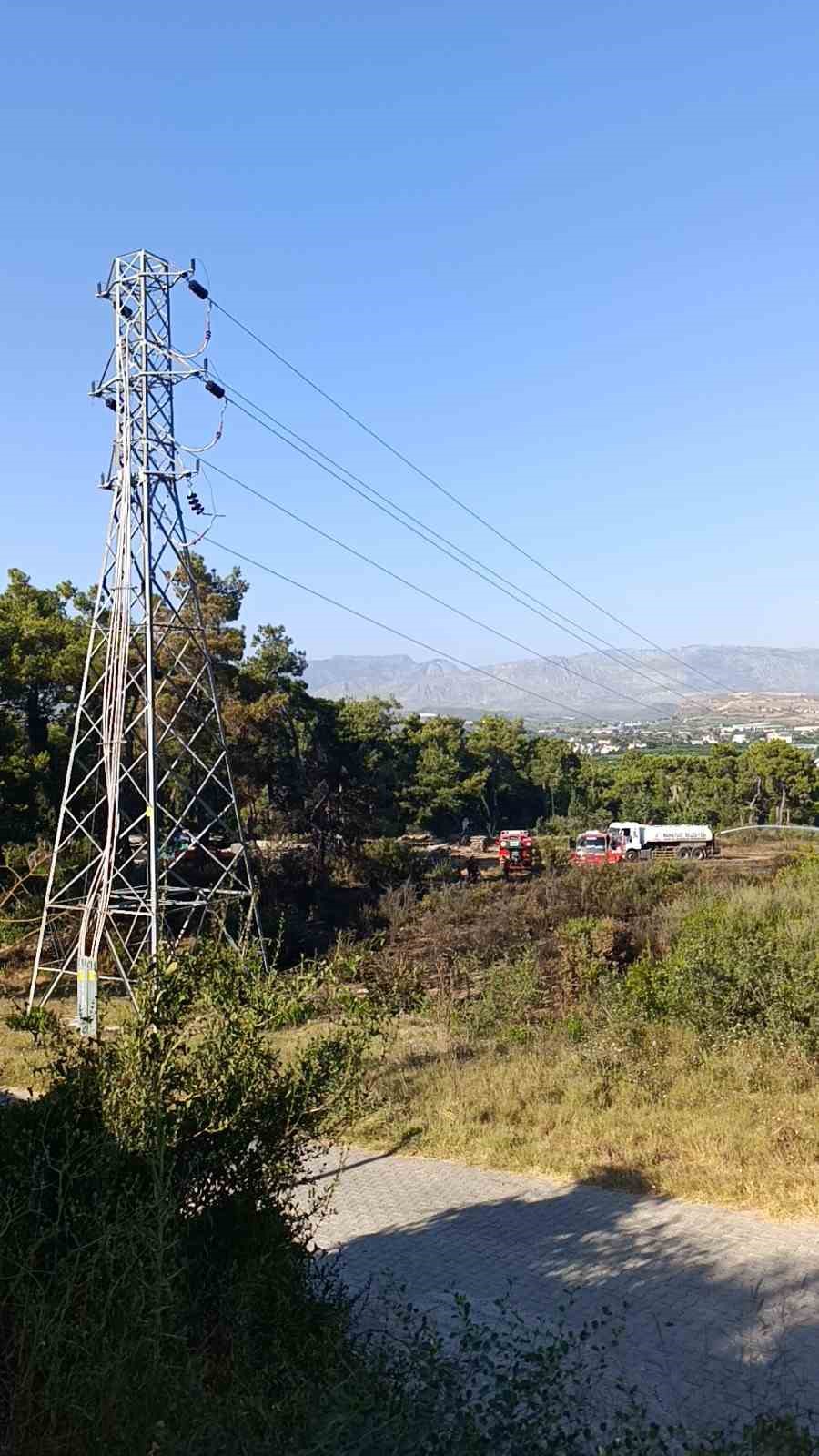 Ormanlık alanda çıkan yangın büyümeden söndürüldü