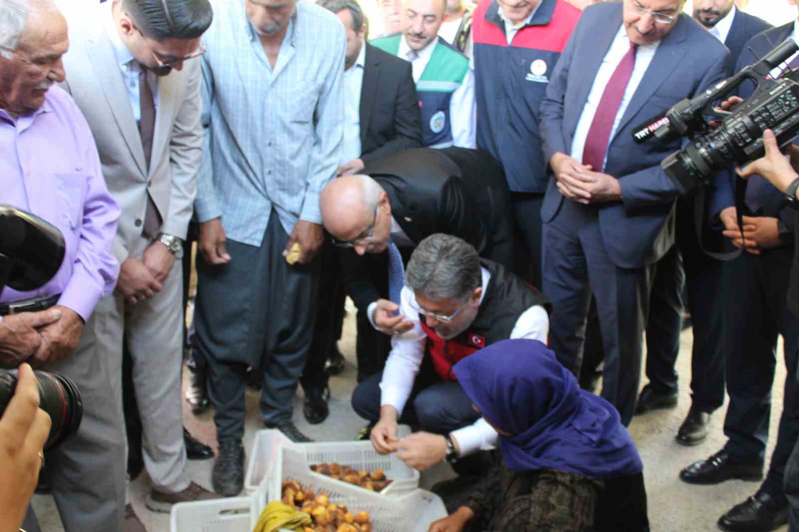 Malatya’da kayısı hasadına katılan Bakan Yumaklı: "Geçtiğimiz senenin o karamsar zamanını üzerimizden atan çok güzel bir ürün görüyoruz"