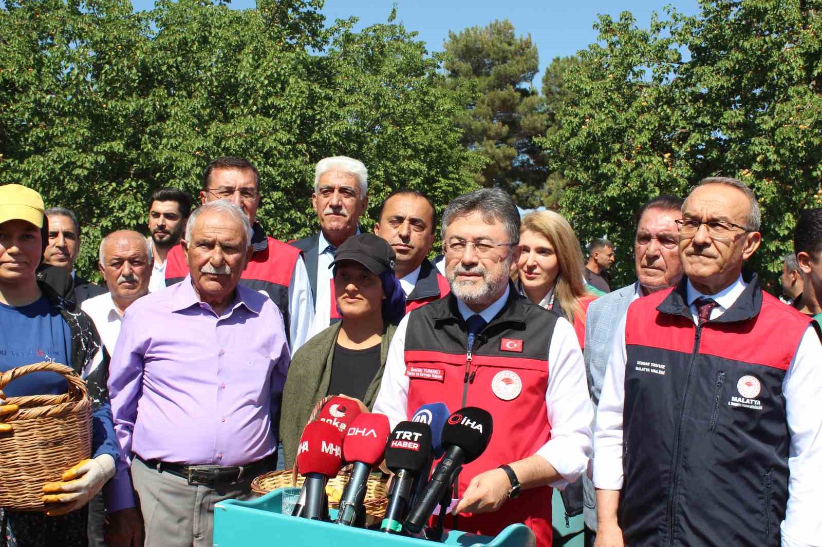 Malatya’da kayısı hasadına katılan Bakan Yumaklı: "Geçtiğimiz senenin o karamsar zamanını üzerimizden atan çok güzel bir ürün görüyoruz"
