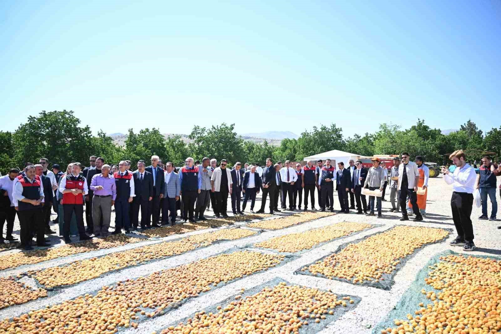 Malatya’da kayısı hasadına katılan Bakan Yumaklı: "Geçtiğimiz senenin o karamsar zamanını üzerimizden atan çok güzel bir ürün görüyoruz"