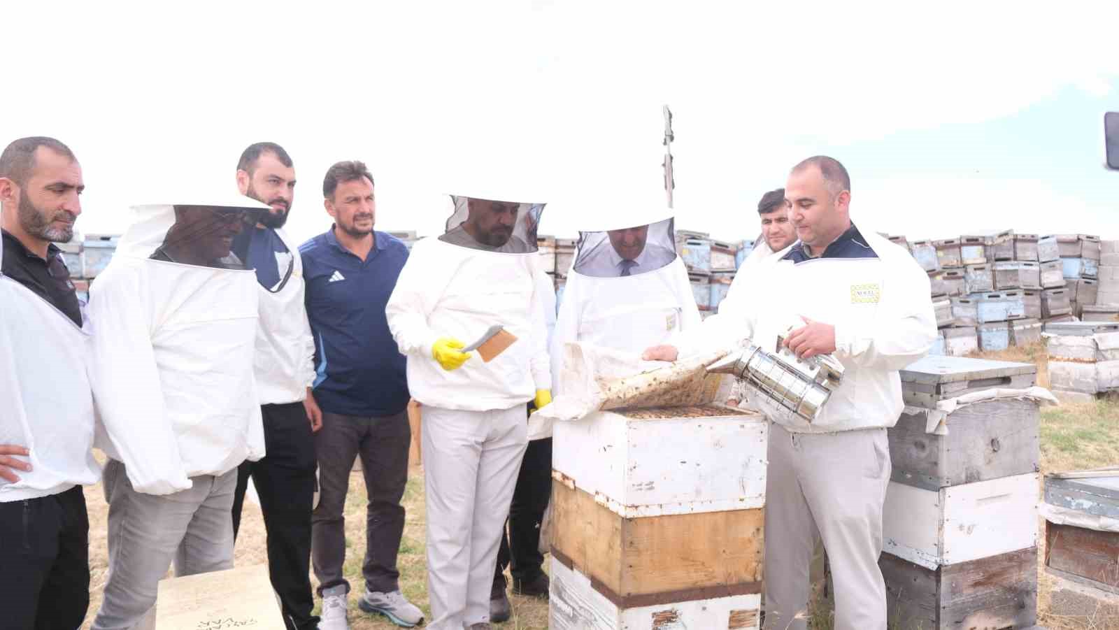 Sorgun’da sezonun ilk bal hasadı yapıldı, Sorfest 2026’da ‘En İyi Bal’ seçilecek