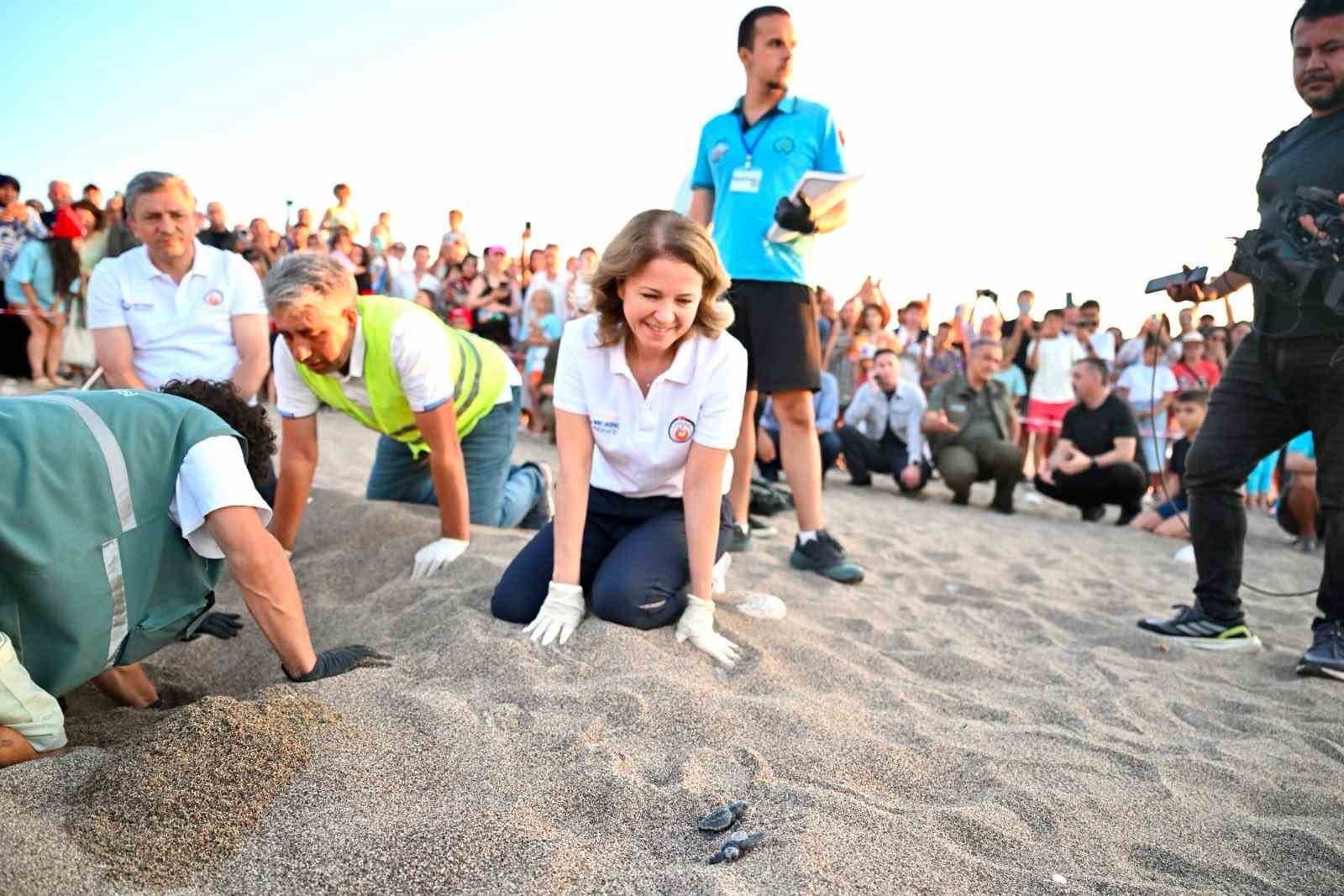 Antalya’da caretta caretta yavruları denizle buluştu