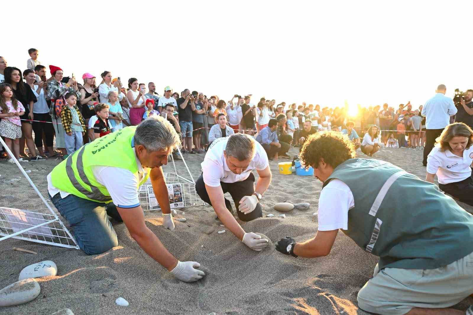 Antalya’da caretta caretta yavruları denizle buluştu